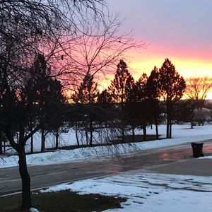 Meet your Posher, Misty